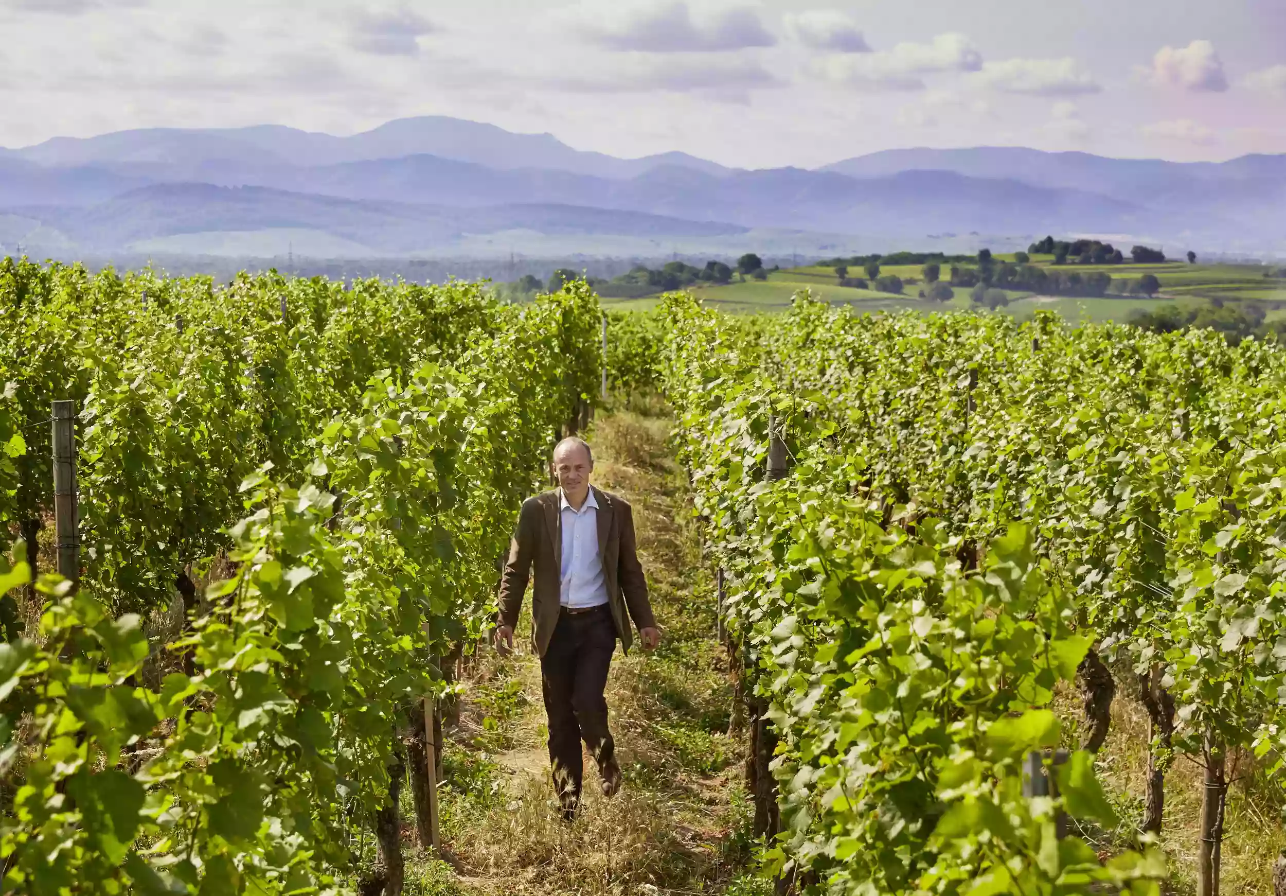 Weingut Landmann