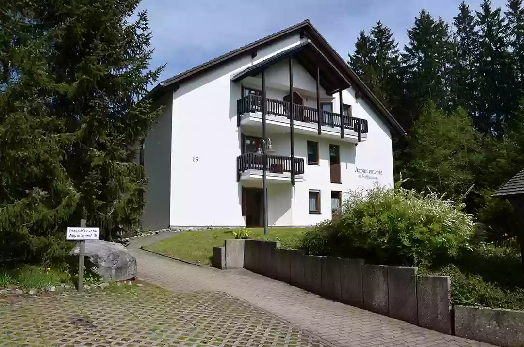 Appartementhaus Am Hochfirstweg - Titisee