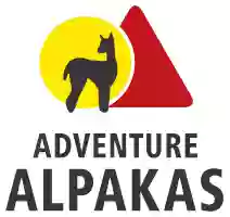 Alpakahof Adventure Alpakas