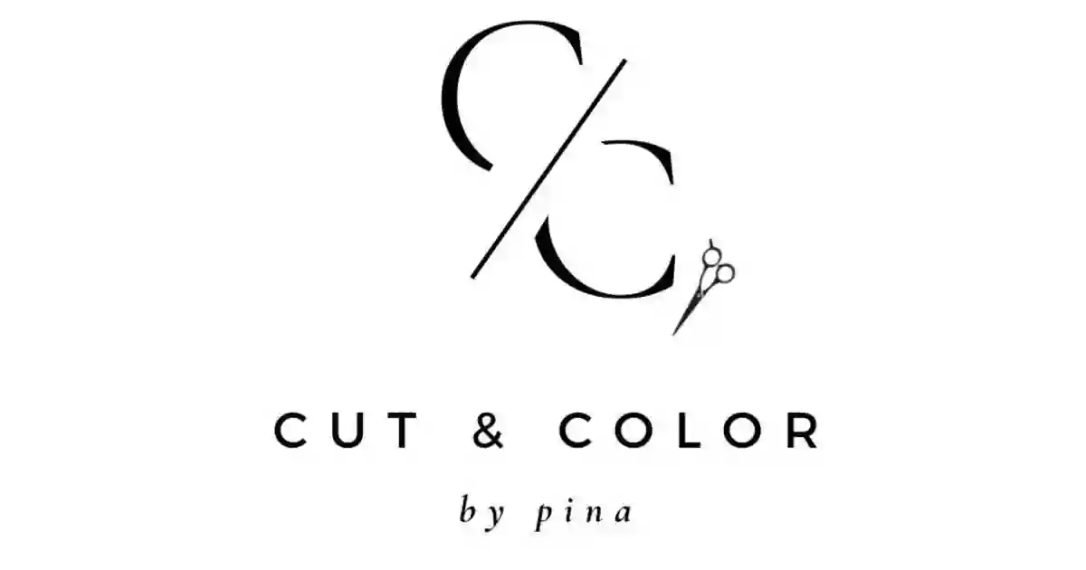 Cut & Color by Pina