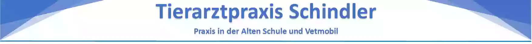 Tierarztpraxis Schindler, Praxis in der Alten Schule und Vetmobil