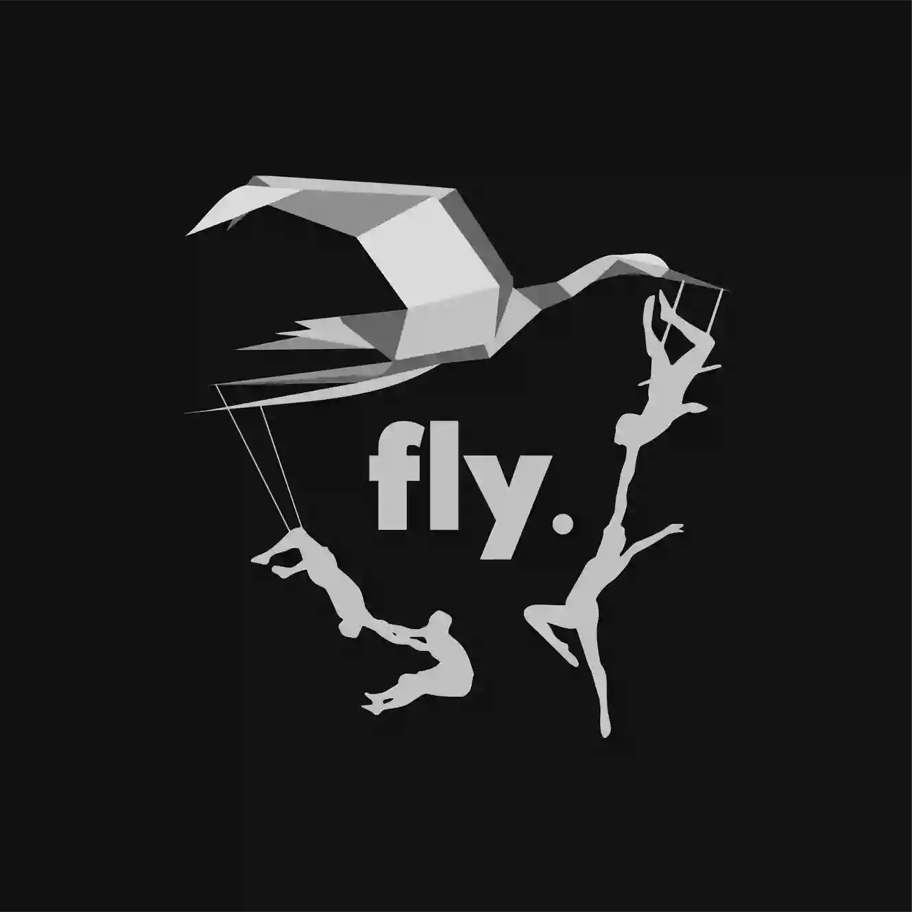 Fly - Zirkus Trainingszentrum