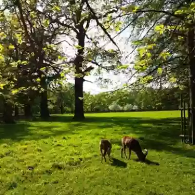 Planetenweg Startpunkt Sonne