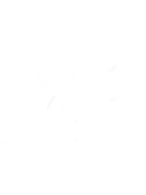 Casa Junior