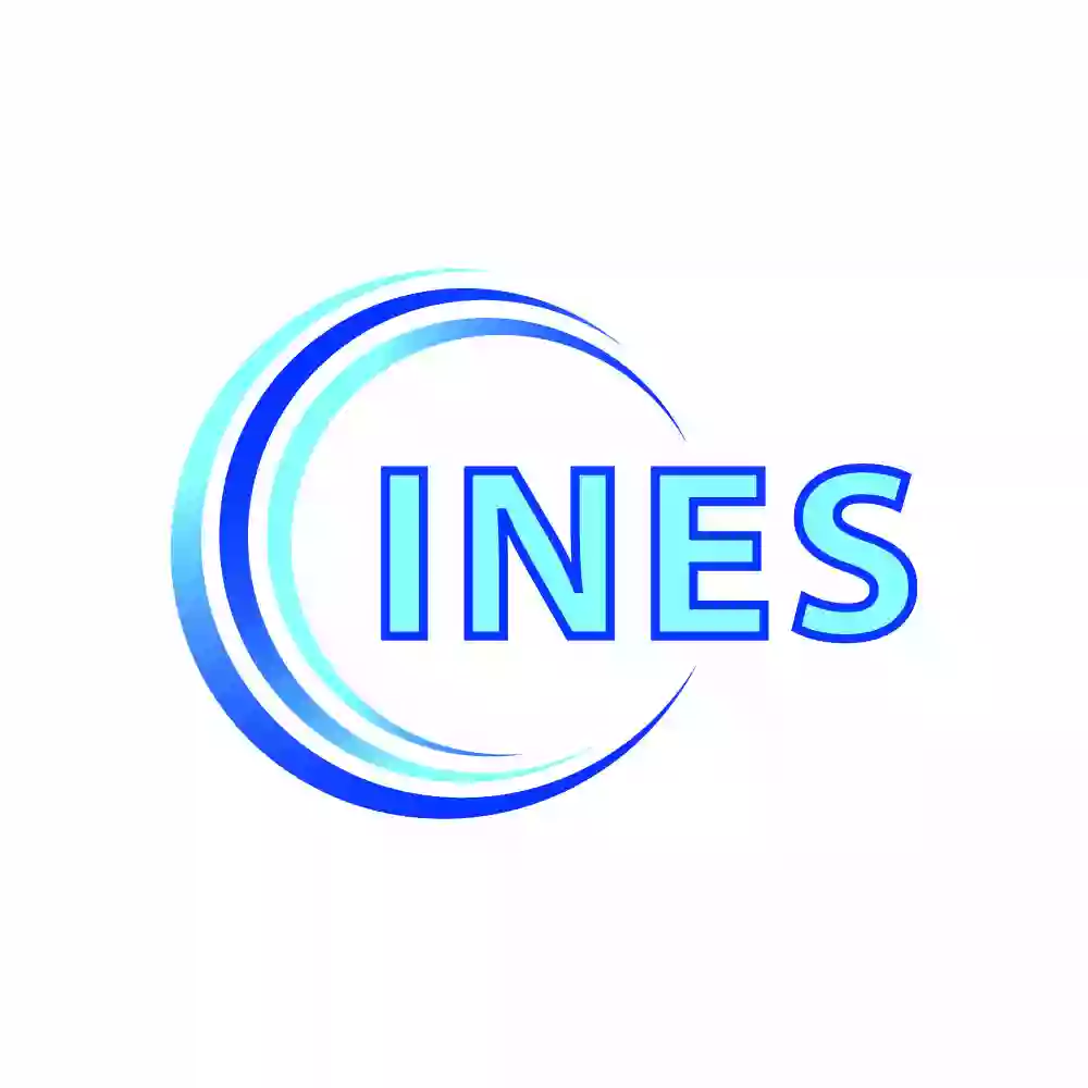 Institut für Nano- und Mikroelektronische Systeme (INES)