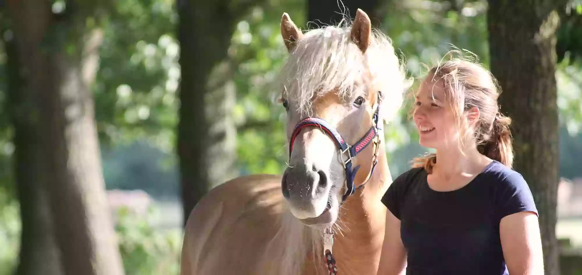 IFERT Therapeutisches Reiten