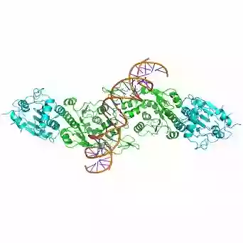 Abteilung Biochemie, Institut für Biochemie und Technische Biochemie