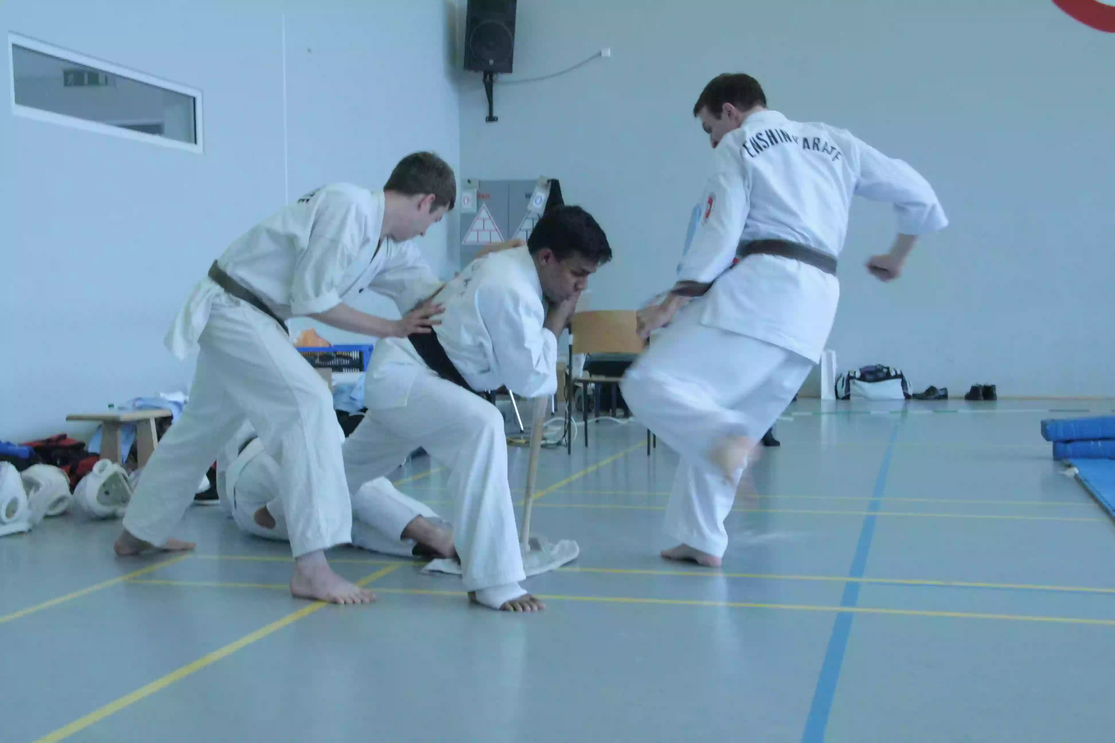 Enshin Karate Karlsruhe