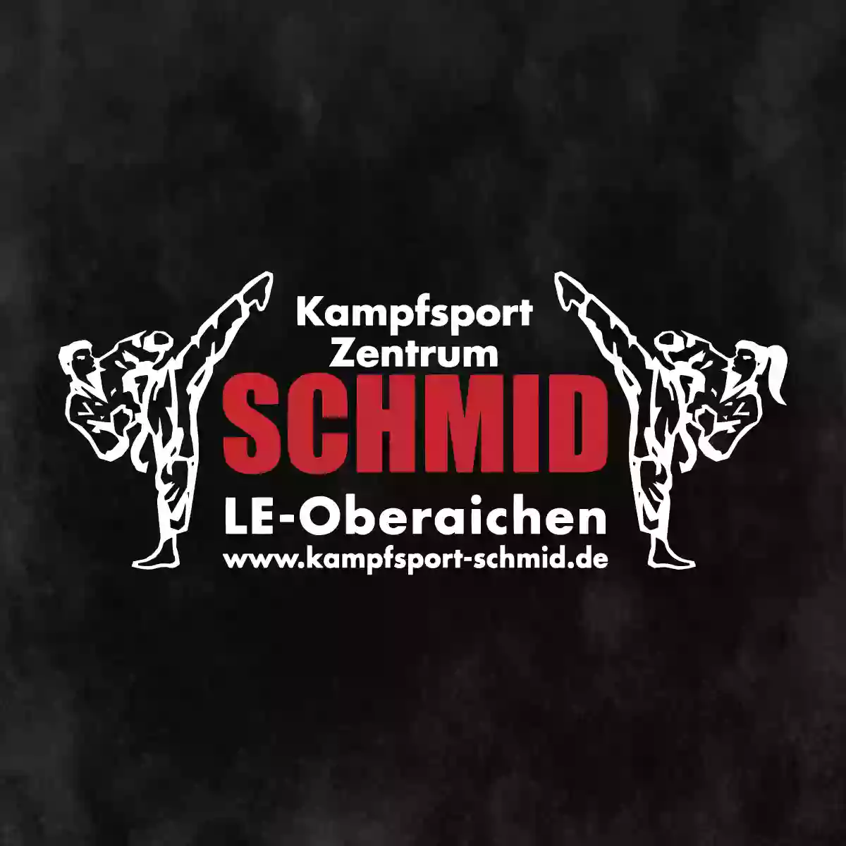 Kampfsport Zentrum Schmid