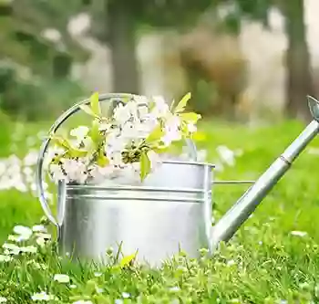 Römer GmbH | Hausmeisterservice | Gartenpflege | Gebäudereinigung