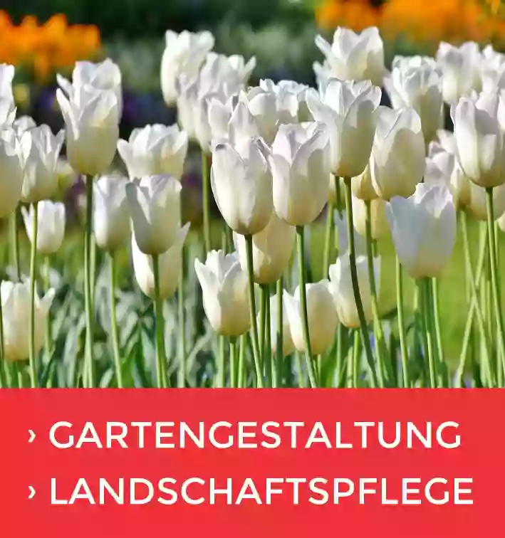 Daniel Sigwarth Garten & Landschaftspflege mit Hausmeisterservice