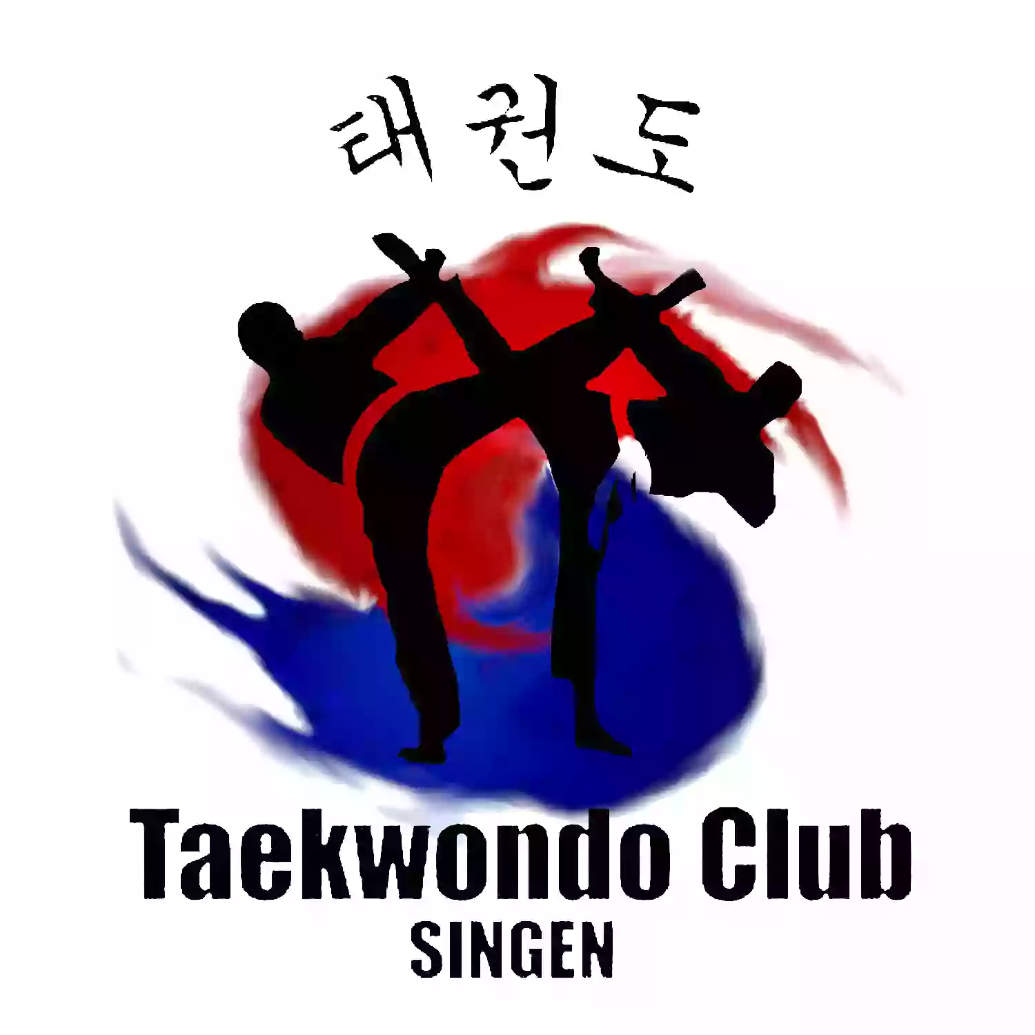 Taekwondo Club Singen e.V.