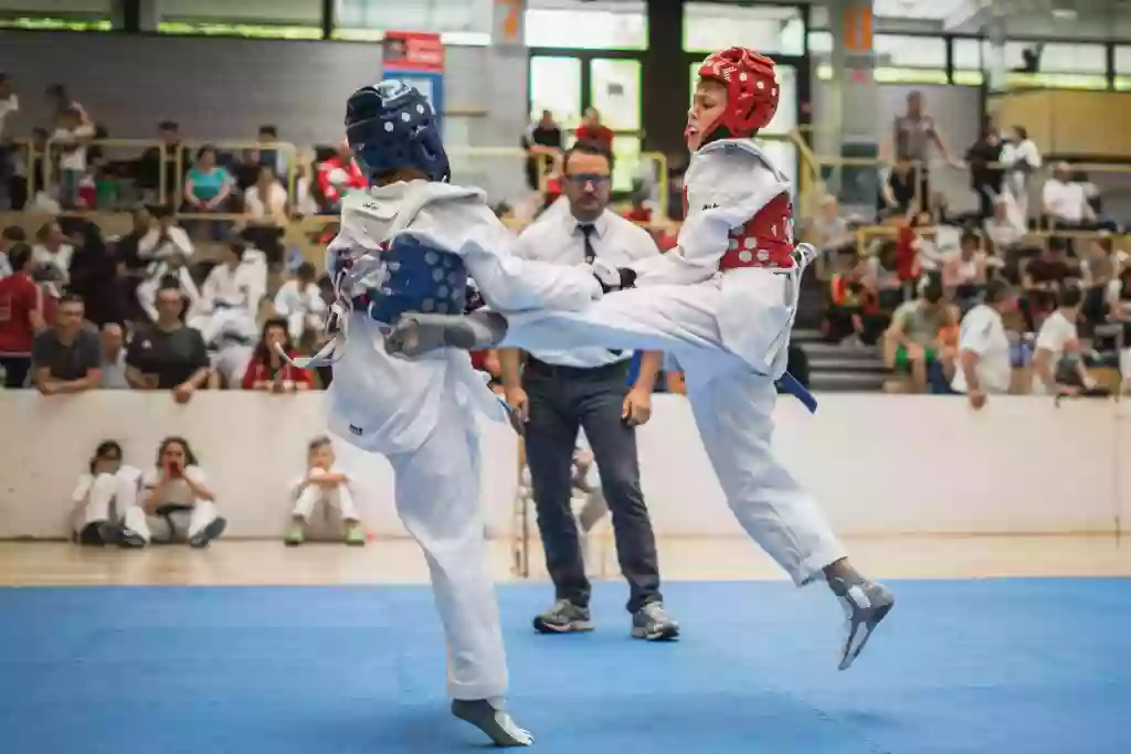 TG Biberach Abteilung Taekwondo