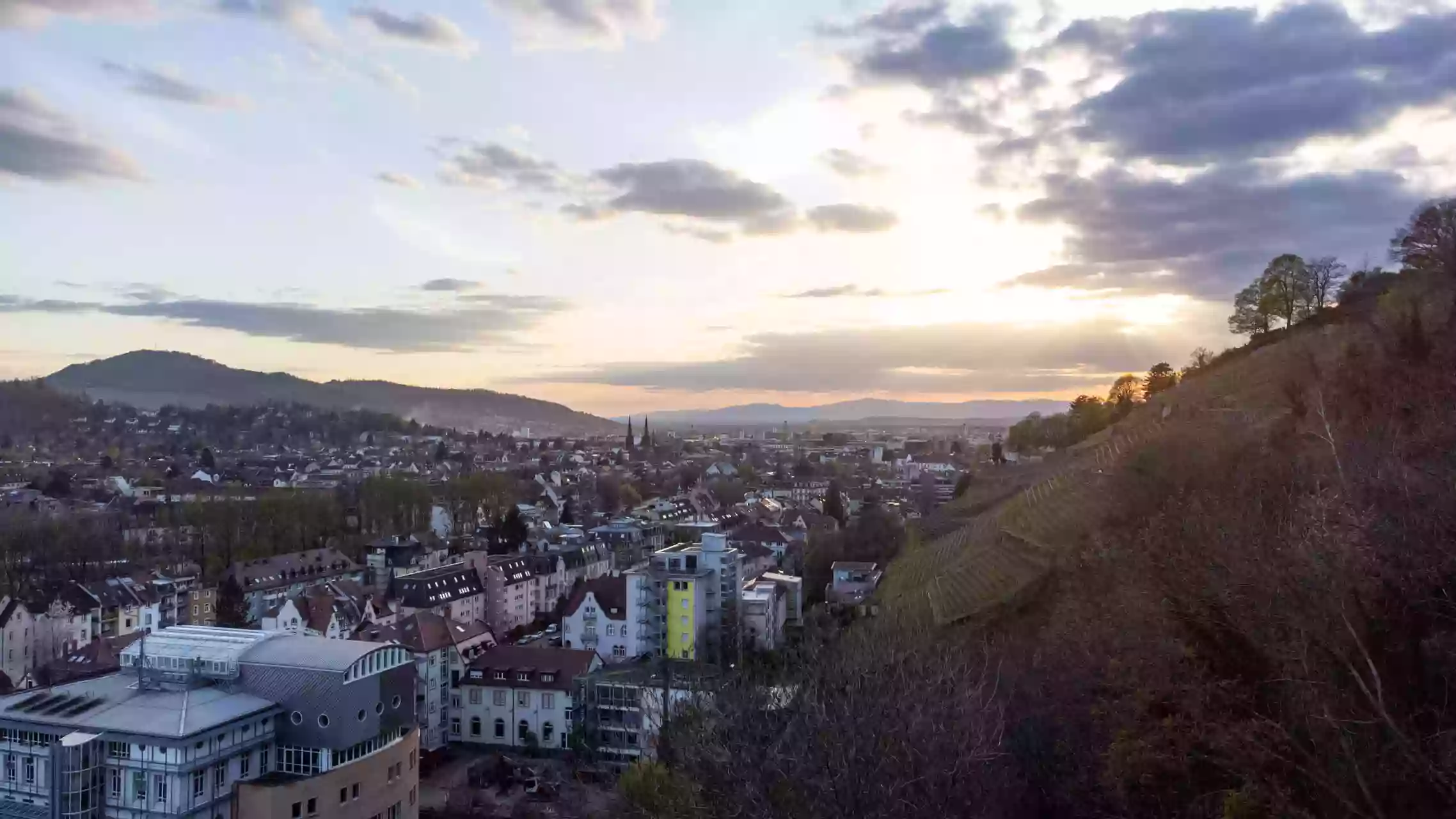 Rechtsanwaltskammer Freiburg