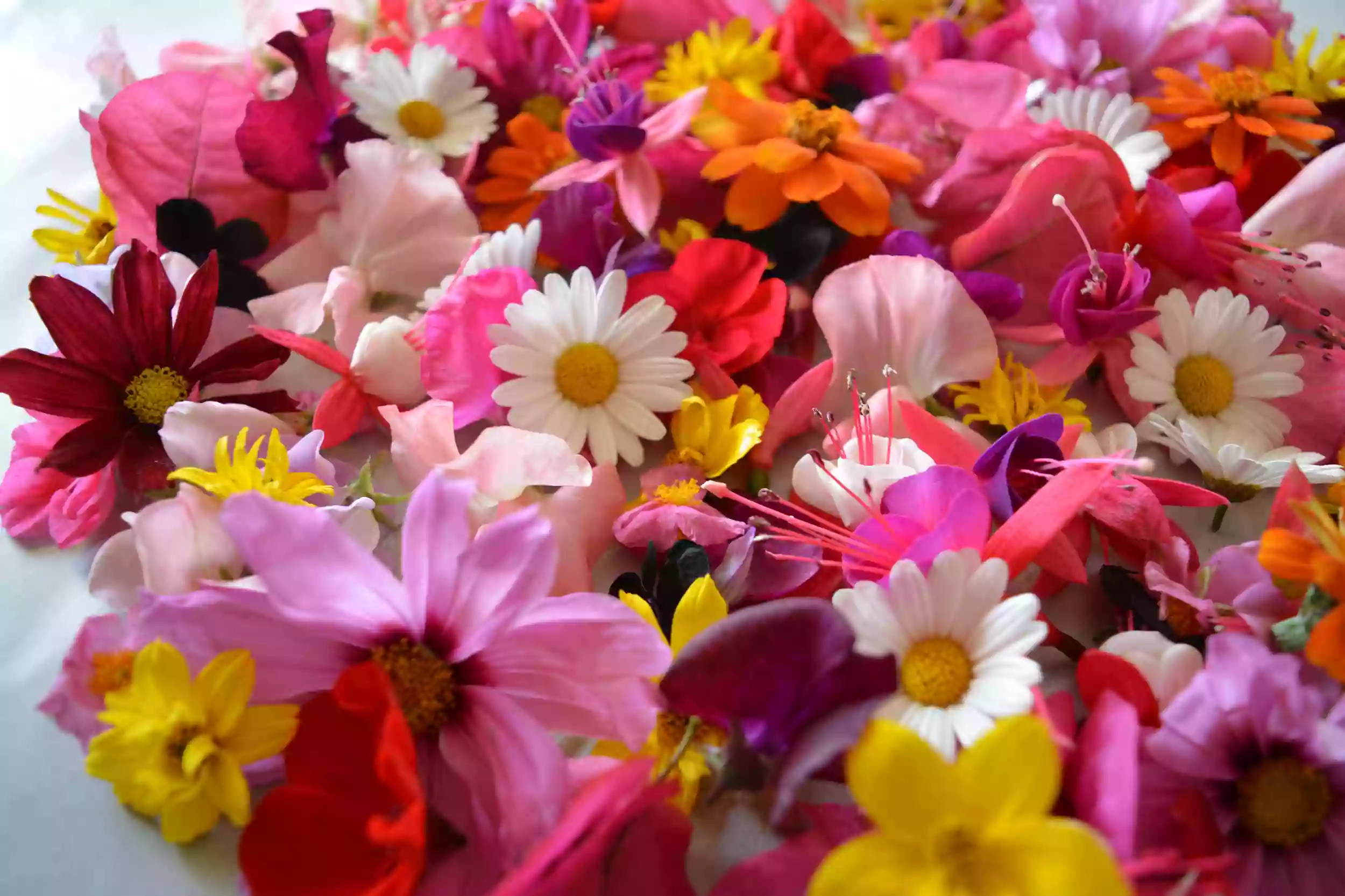 Blumenladen Heilbronn I Blumen Zürn in Möckmühl