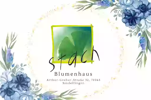 Blumenhaus Stach