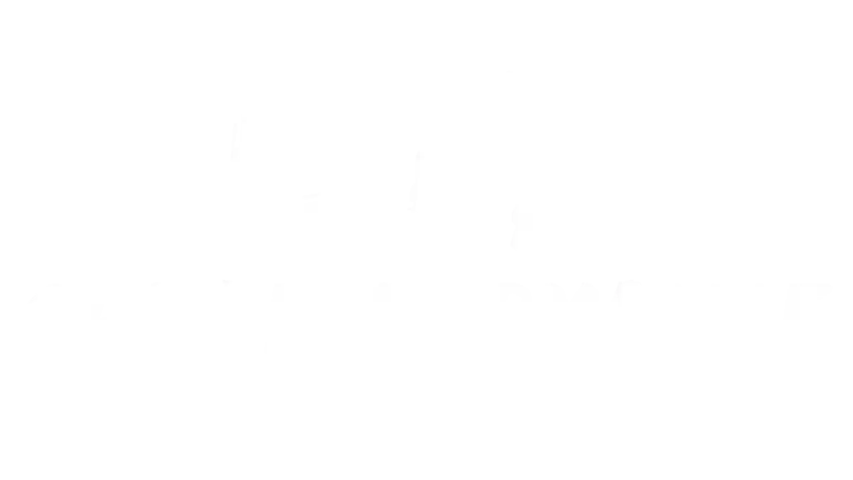 LTZ Car Performance