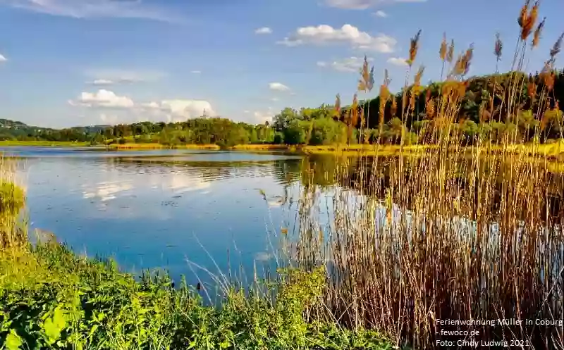 Goldbergsee Coburg