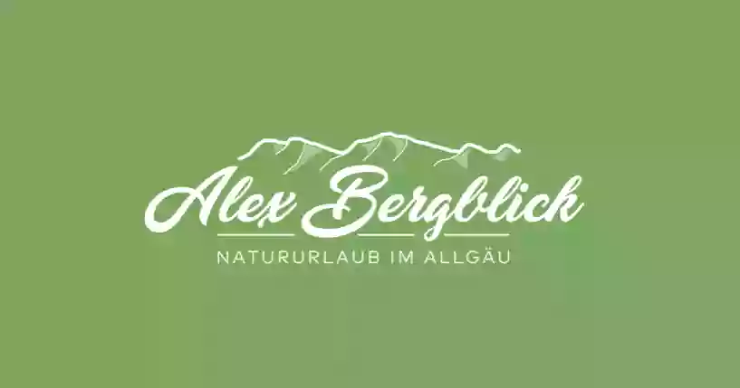 Ferienwohnung - Alex Bergblick