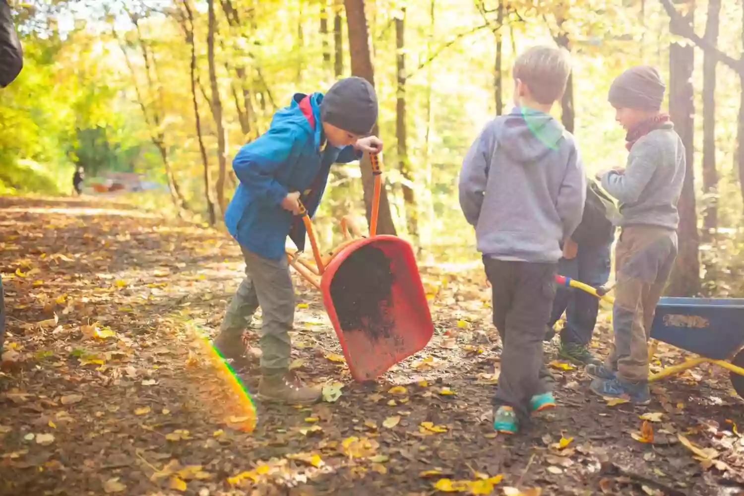 Waldgruppe | Montessori-Kinderhaus Würzburg