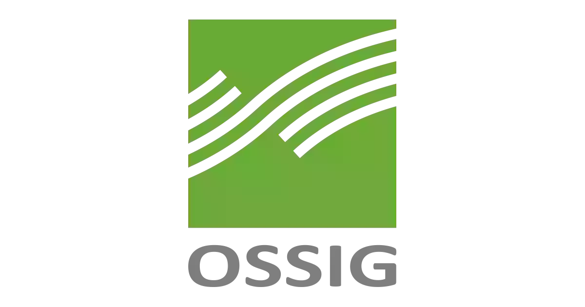 Ossig & Partner