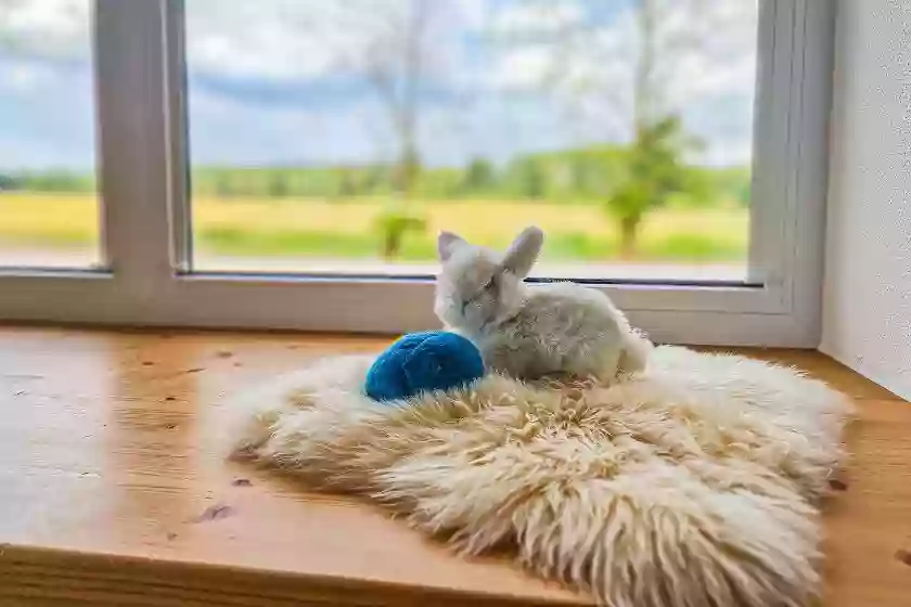 Kinderkrippe im Marita Beissel Haus der Johanniter