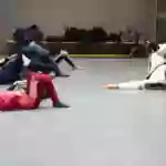 Taekwondo DeFence / Koryo Dojang Taekwondo FFB