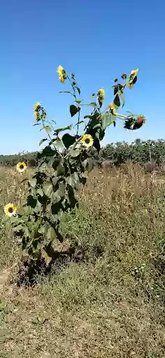 Blumen am Nordfriedhof - Trauerfloristik - Hochzeitsfloristik - Blumen Popp