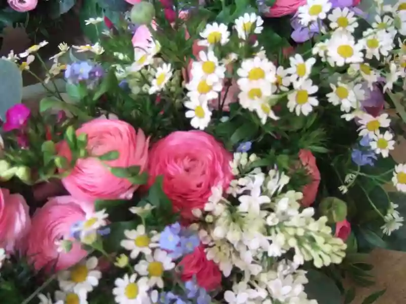 Blumen Marlies Diranko