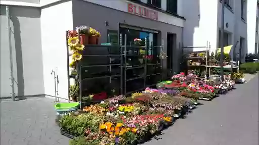 Blumen & Pflanzen Maiglöckchen