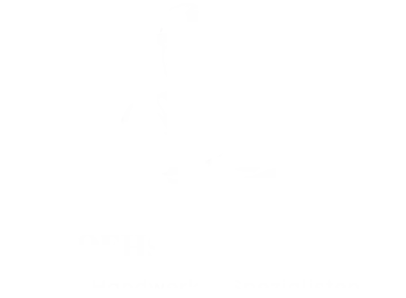 vonOehsenundPartner