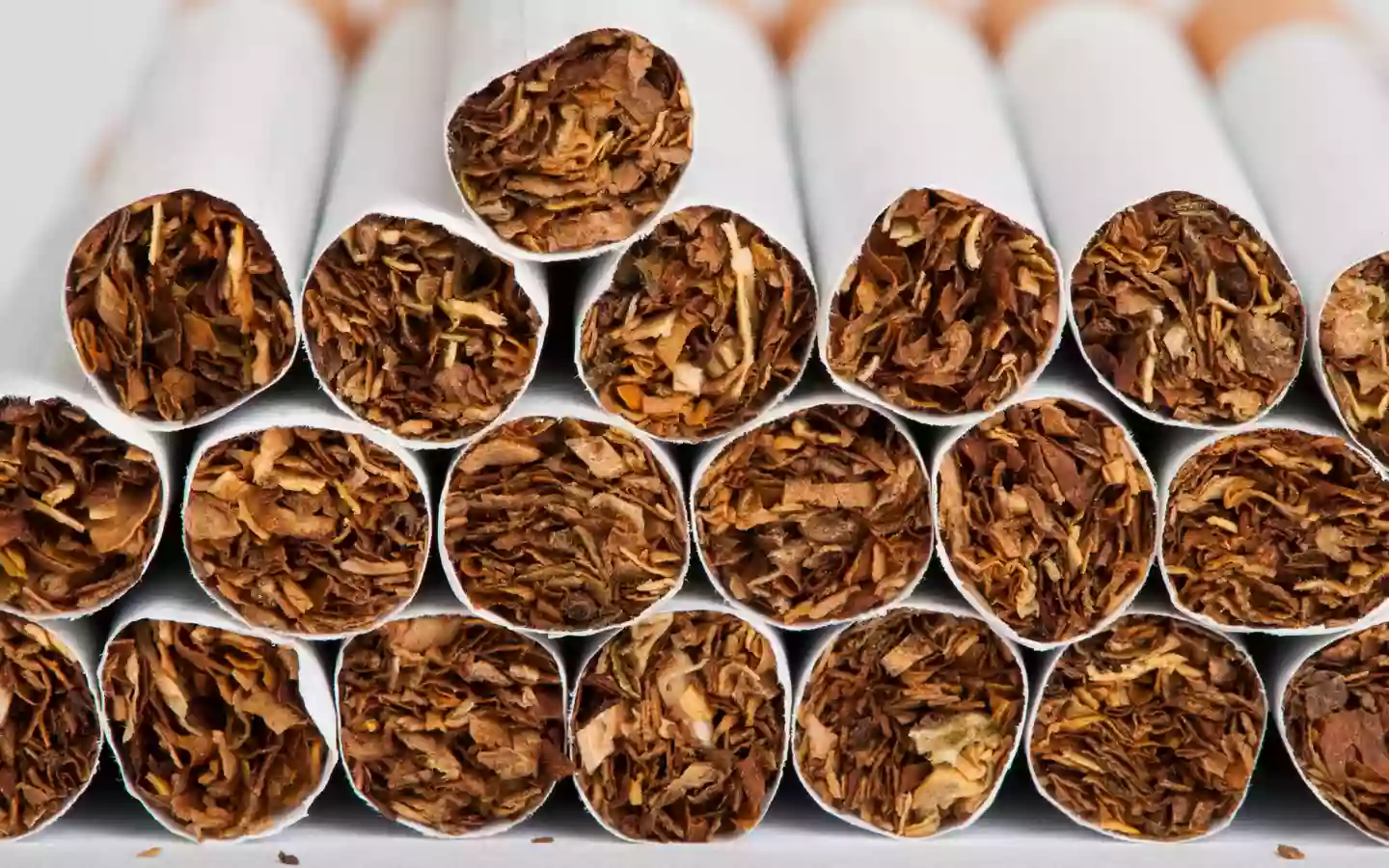 Tabakfachhandel Neusurenland