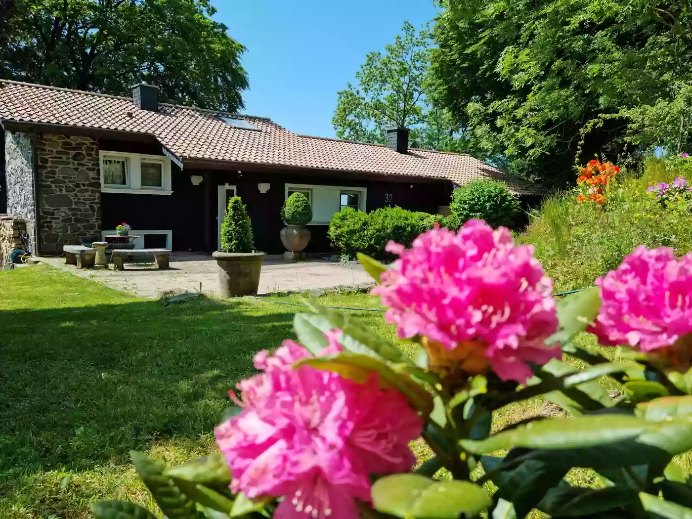 Ferienhaus Vogelsbergblick: Luxus Ferienhaus mit Hund mieten, eingezäunt, Alleinlage, Sauna, Kamin, Vogelsberg, Deutschland