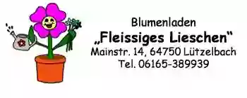 Blumenladen Fleissiges Lieschen