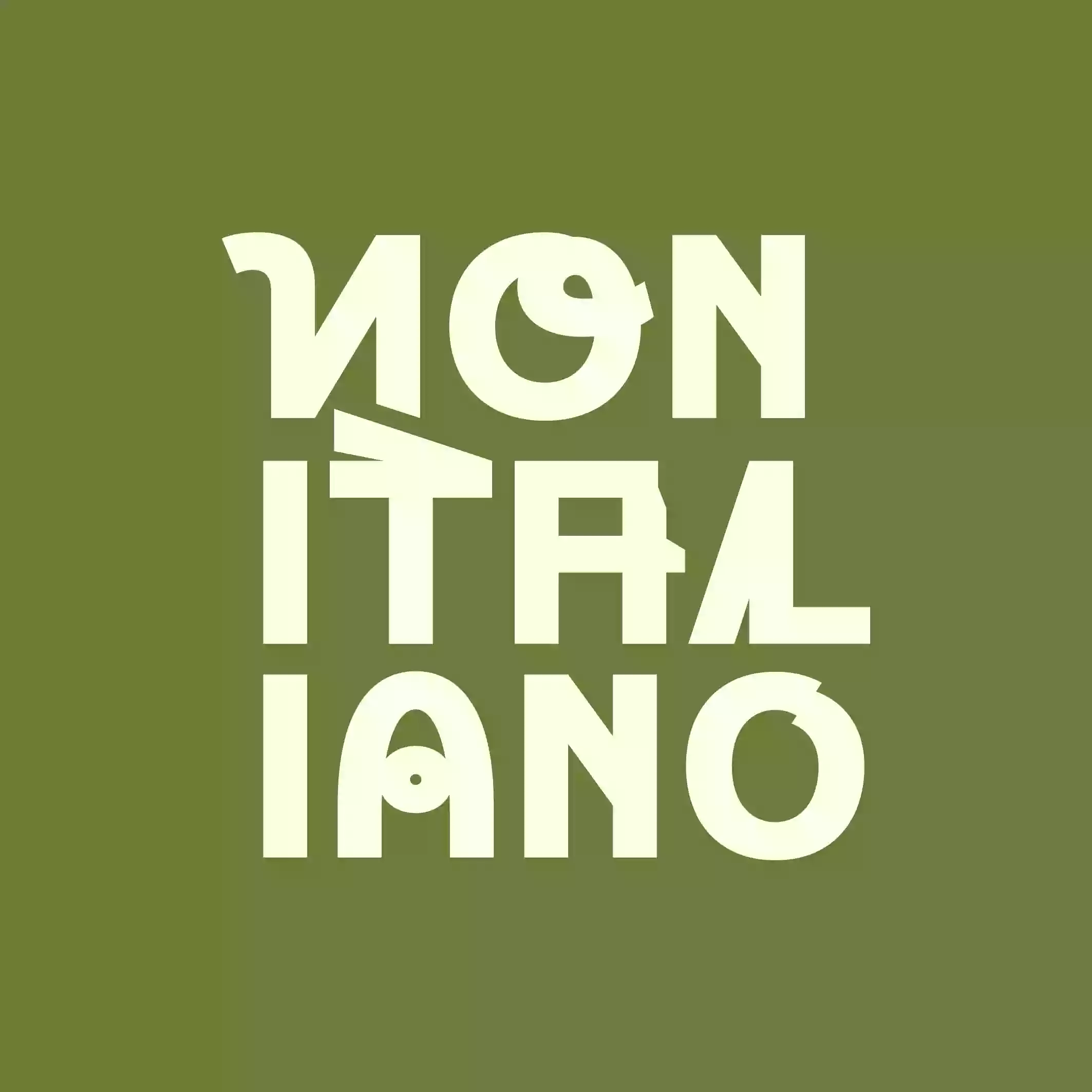 Non Italiano