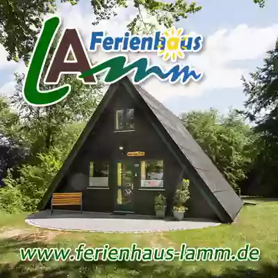 Ferienhaus Lamm - Haus 129 im Ferienpark Twistesee