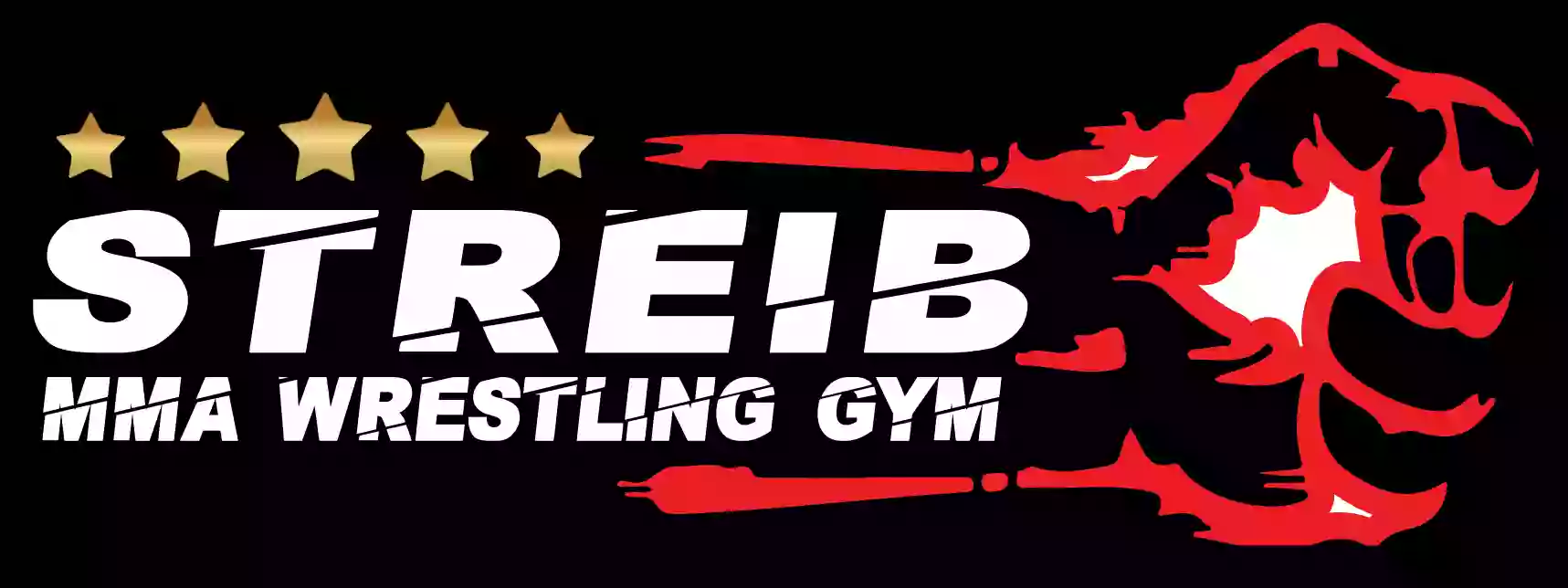 Streib MMA Wrestling Gym