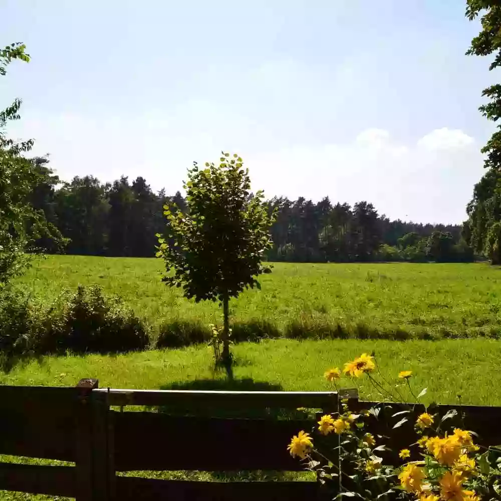 Ferien am Kölpiner Forst