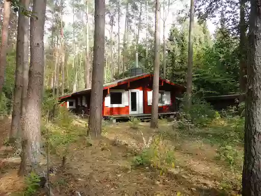 Ferienhaus Waldblick - Hitzacker (Elbe)- Waldbaden