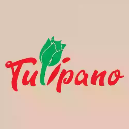 Tulipano