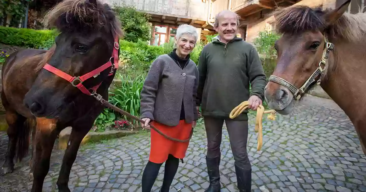 Biopension zum Pferdebrunnen