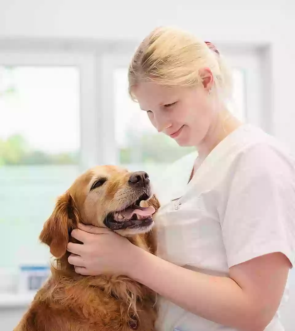 Tierarzt Sommer-Radschat Celle, Tierärztliche Praxis für Kleintiere