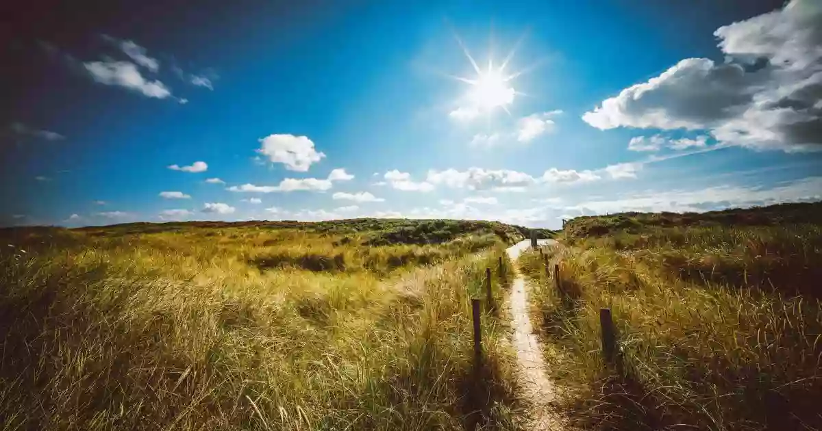 Tourist-Information - Tourismus-Service Langeoog