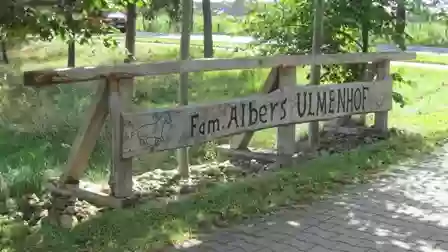 Albers Ulmenhof - Freizeitreiter