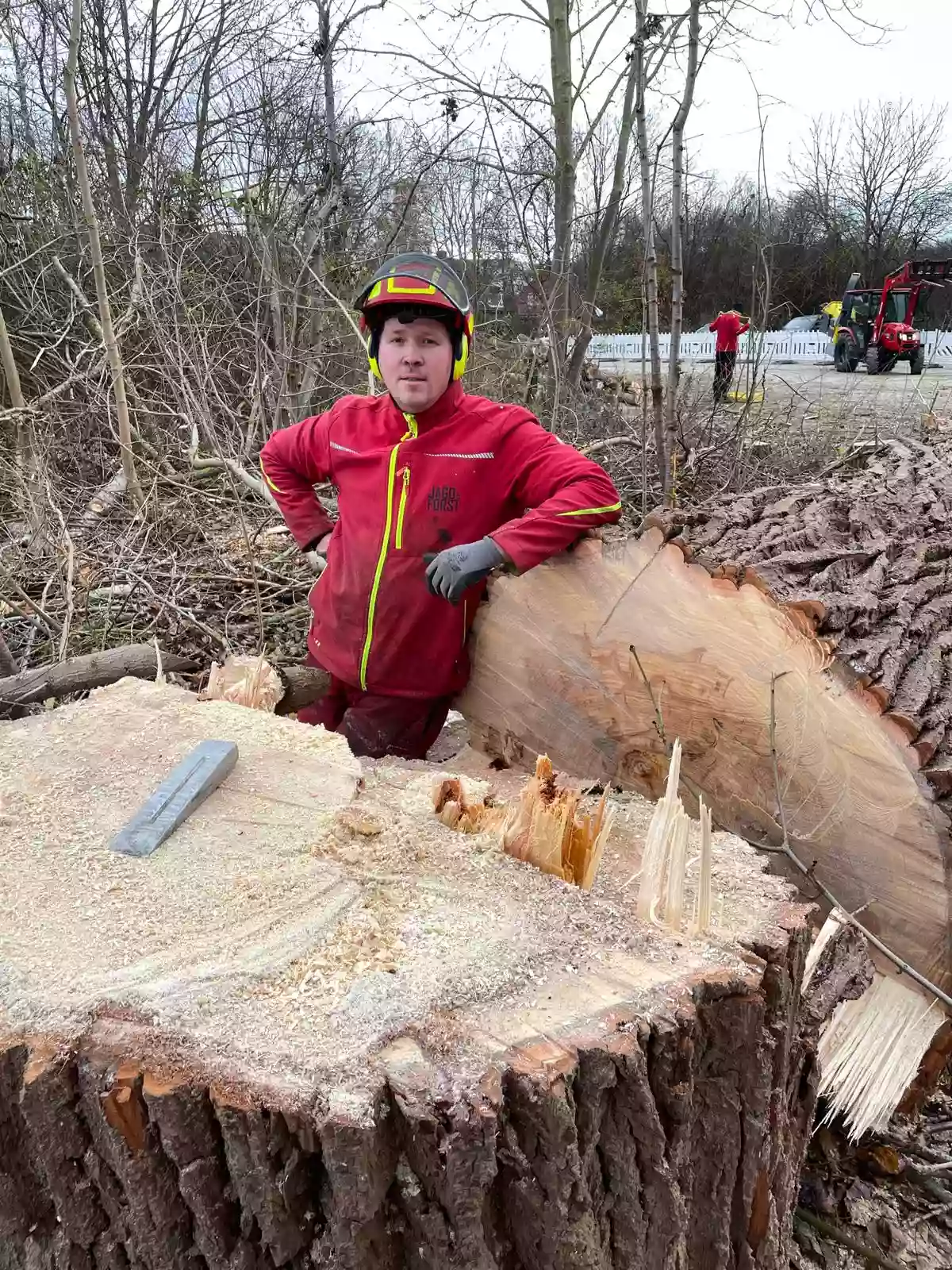 Jagd und Forst Baumfällungen - Laatzen, Region Hannover