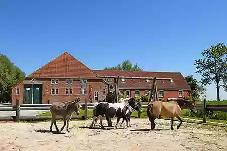 Ferienwohnungen „Ilkas Ferienhof“