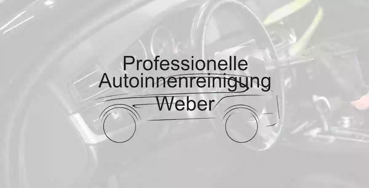 Professionelle Autoinnenreinigung Weber