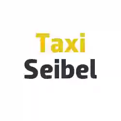 Taxi Seibel Borchen