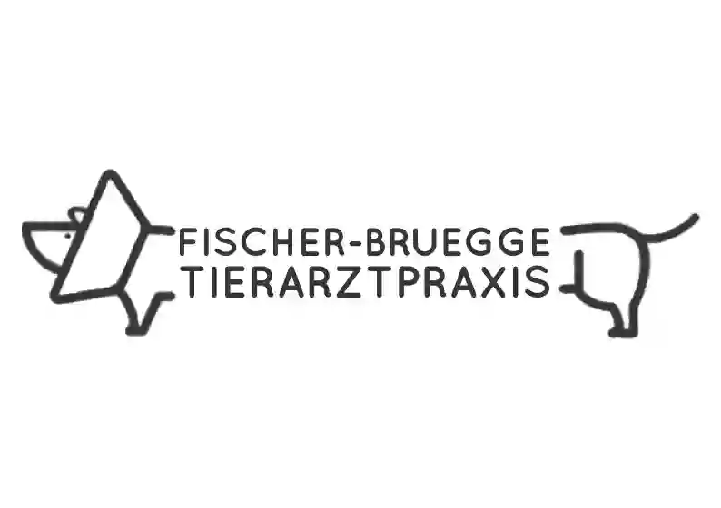 Kleintierpraxis Fischer-Brügge