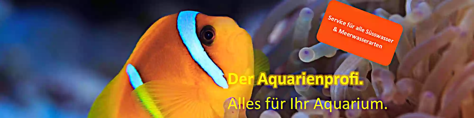 Tropic Aquarienservice Anlagenbau und Pflege für Süsswasser- und Meerwasseraquaristik